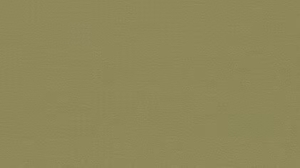 Olive green textured background with a subtle grainy pattern.
