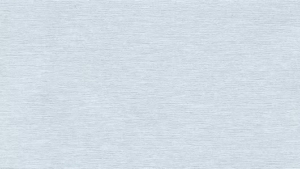 Light blue textured background with a subtle brushed pattern.