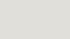 Decorative plain light-gray background with no content (no alt text required).