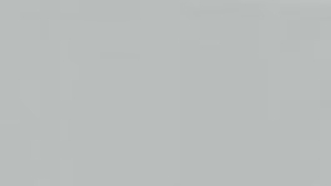 Solid light gray background with uniform tone.