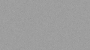 Gray speckled background texture used as a neutral backdrop.